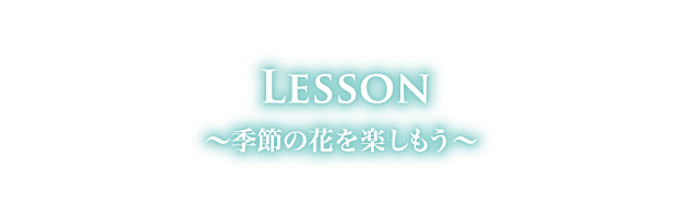 LESSON